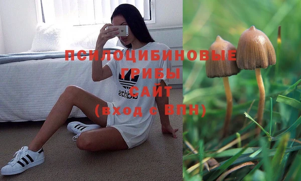 MESCALINE Балахна